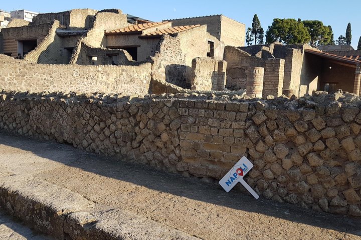 Pompeii and Herculaneum Ruins Guided Tour from Naples  - Image 1