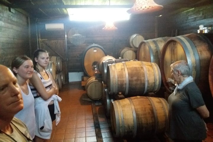 Pompeii and Herculaneum SkipTheLine with Lunch&WineTasting from Naples Port - Image 3