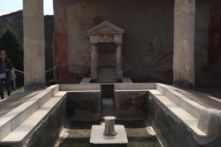 Pompeii and Sorrento full day from Naples - Image 3