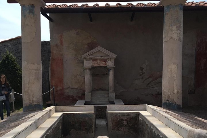 Pompeii and Sorrento tours from Naples - Image 3