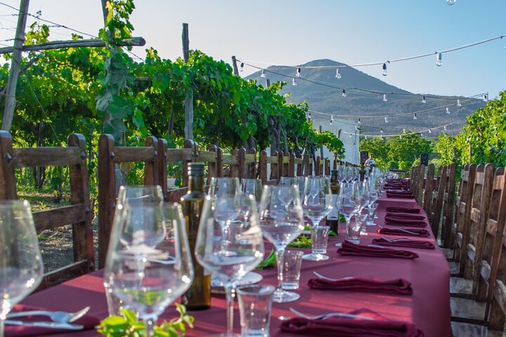Pompeii and Vesuvius Cellars Tour with Lunch from Naples - Image 5
