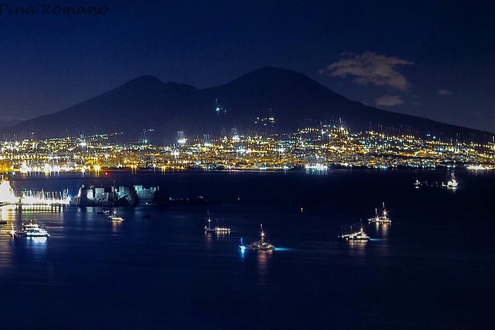Pompeii and Vesuvius from Naples. Shared semi-private max 8 pax - Image 2