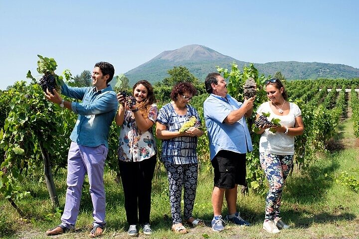 Pompeii and wine tasting on the slopes of Vesuvius from Naples - Image 4