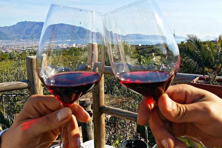Pompeii and wine tasting on the slopes of Vesuvius from Naples - Image 2