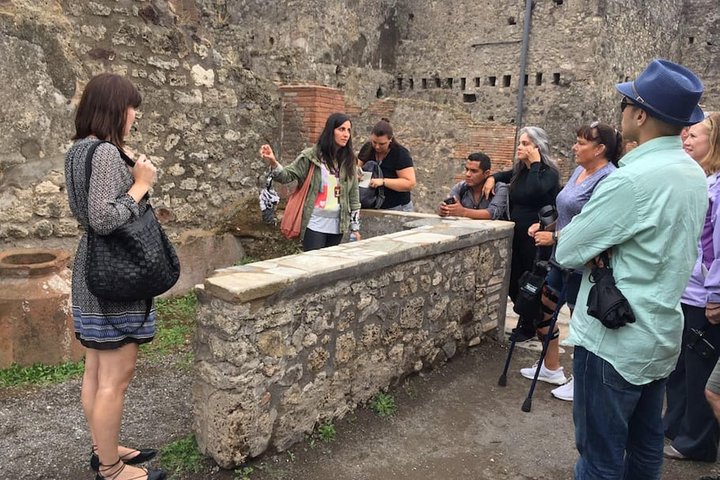 Pompeii and Wine Tasting Tour at the slopes of the Mt Vesuvius - Image 5
