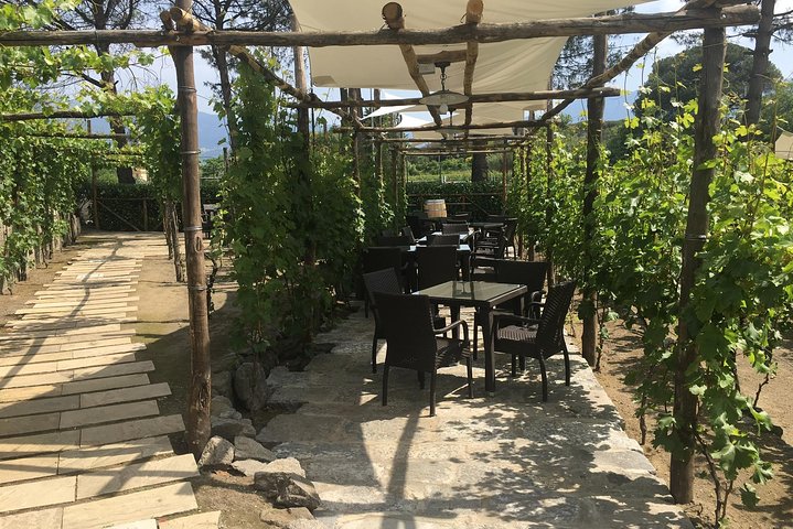 Pompeii and Winery - Image 1