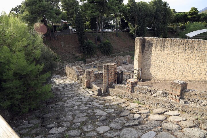  Pompeii Day Tour - Image 3