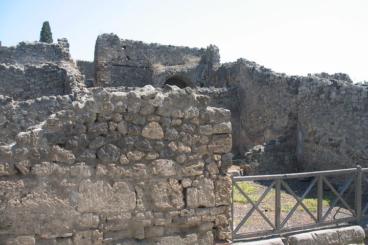 Pompeii-Herculaneum and The Archaeological Museum with Guide -skip the line - Image 3