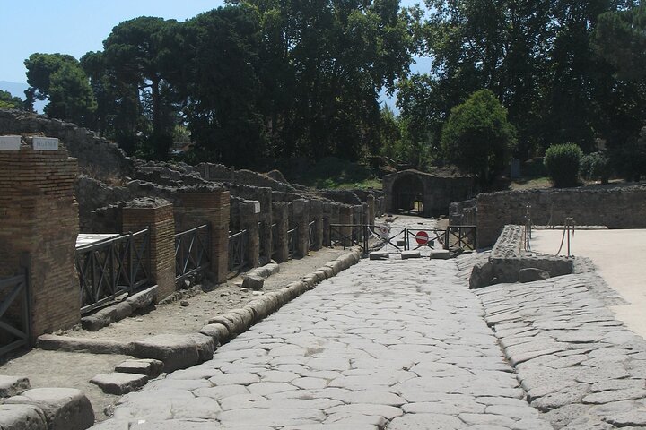 Pompeii-Herculaneum and The Archaeological Museum with Guide -skip the line - Image 2