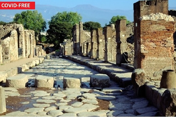  Pompeii, Herculaneum and Vesuvius tour from Naples - Image 2