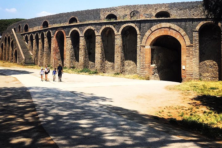POMPEII, HERCULANEUM, and wine testing for lunch on MOUNT VESUVIO - Image 1