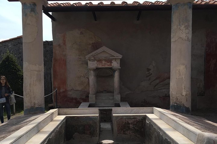 POMPEII, HERCULANEUM, and wine testing for lunch on MOUNT VESUVIO - Image 4
