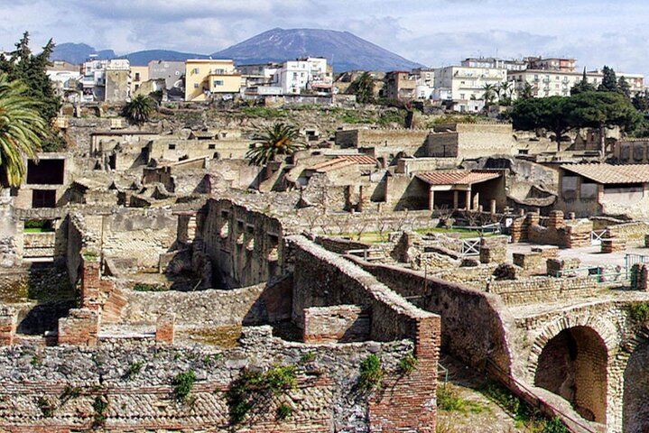 Pompeii Herculaneum and Wineries day tour from Naples - Image 3