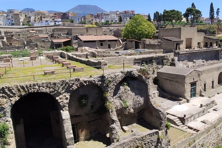 Pompeii Herculaneum and Wineries day tour from Naples - Image 4
