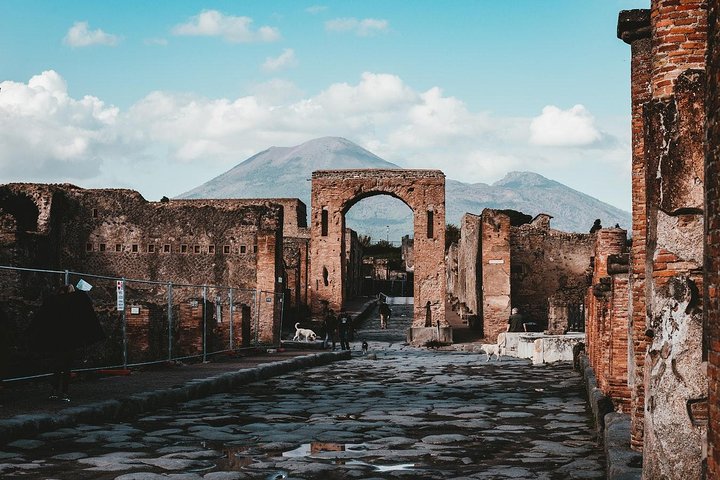 Pompeii & Herculaneum Day Trip from Naples - Image 3