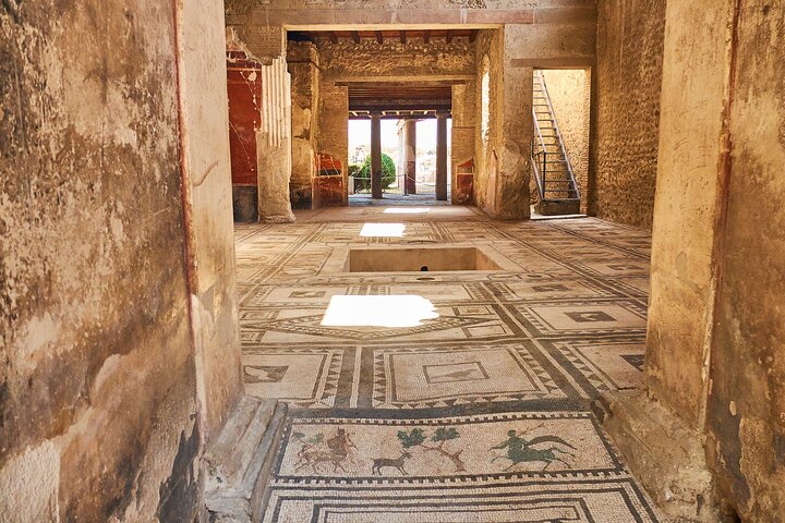 Pompeii, Herculaneum & Mt Vesuvius Private Tour from Naples - Image 4