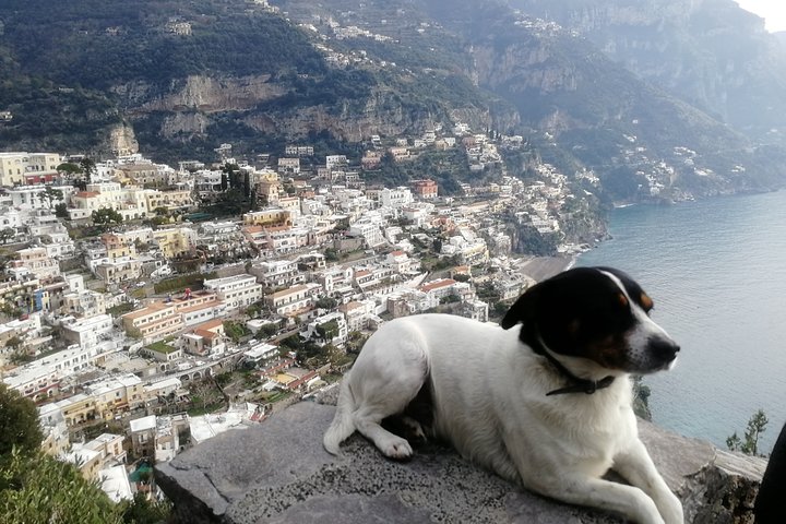 Pompeii, Positano, Sorrento full day with Pompeii guide bookable - Image 1