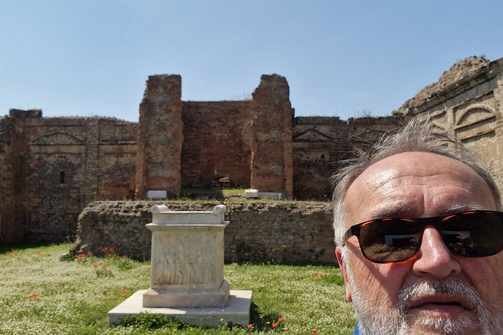 Pompeii Private Tour from Naples - Image 1