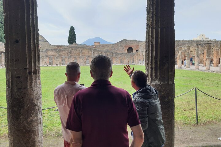 Pompeii Ruins and Naples Archaeological Museum Private Tour from Naples - Image 2