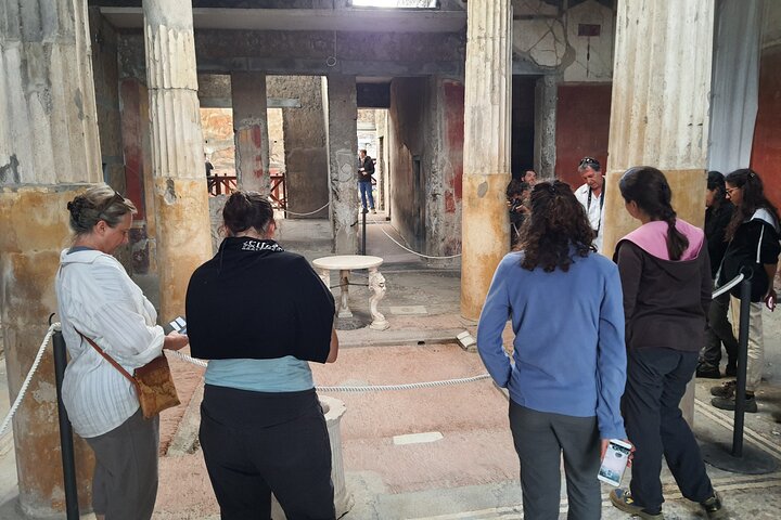 Pompeii Ruins and Naples Archaeological Museum Private Tour from Naples - Image 1