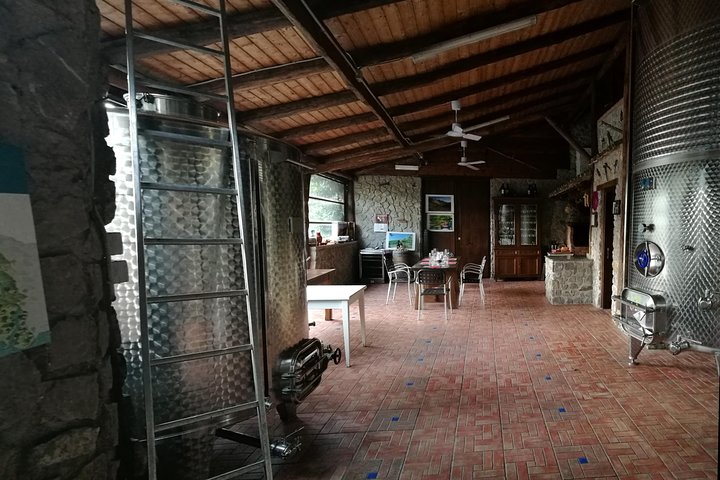 Pompeii ruins and Wine tasting - Image 5