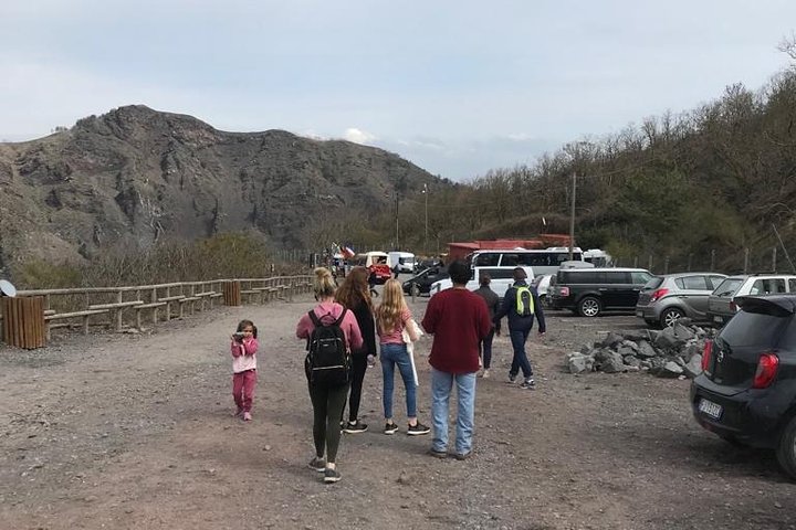 Pompeii Skip-The-Line and Mt Vesuvius with Lunch&WineTasting from Naples Port - Image 4