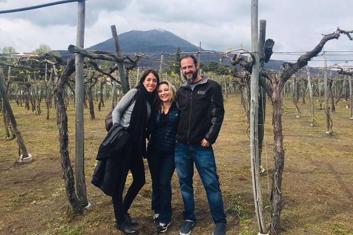 Pompeii Skip-The-Line with Lunch&WineTasting from Naples Cruise Port - Image 5