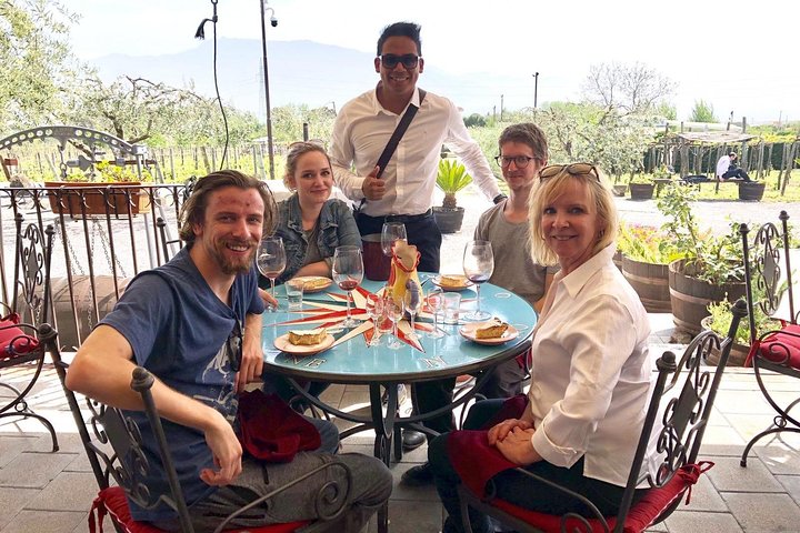Pompeii Skip-The-Line with Lunch&WineTasting from Naples Cruise Port - Image 4