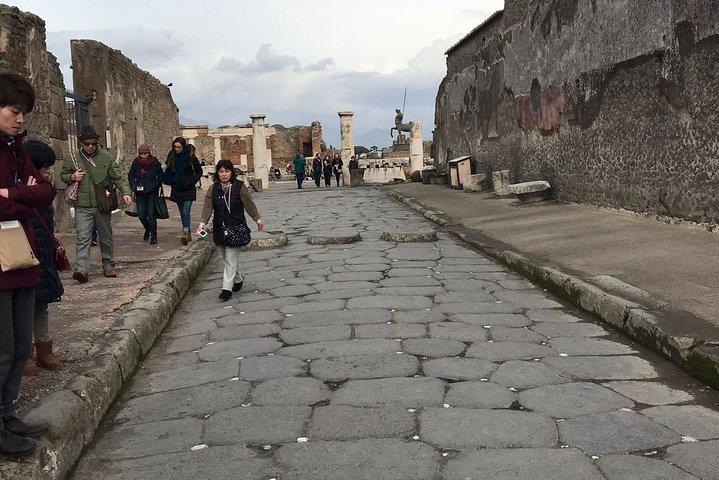 Pompeii Sorrento and Wine Tasting Tour from Naples - Image 1