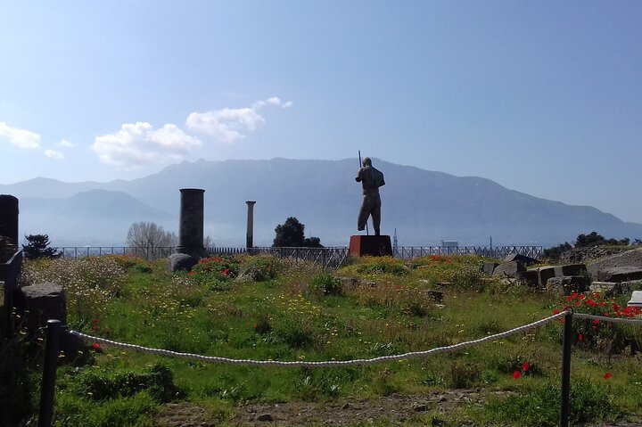 Pompeii Sorrento Positano - Image 5