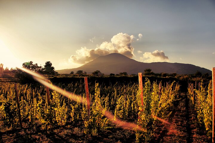 Pompeii with Wine Tasting and Lunch from Naples - Image 3