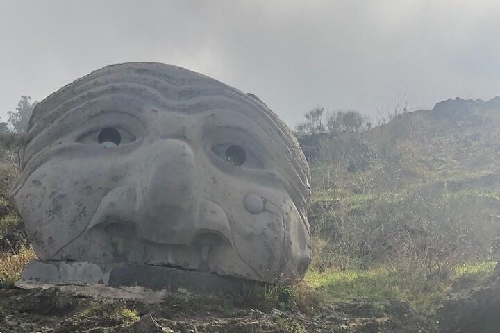 Private and Guided day in Pompeii and Vesuvius from Naples - Image 2