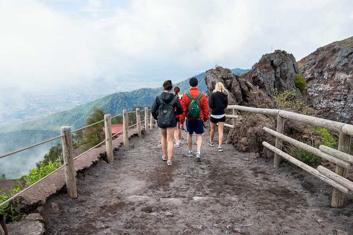 Private Half-Day Sightseeing Tour of Vesuvius National Park - Image 2