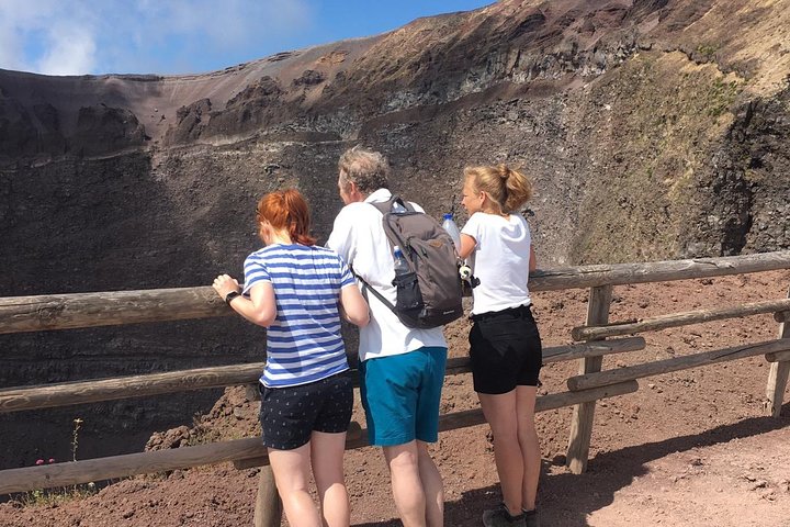 Private Half-Day Sightseeing Tour of Vesuvius National Park - Image 5