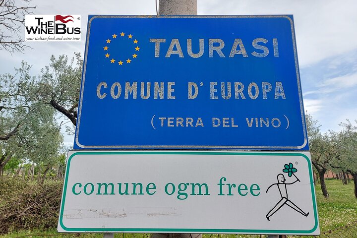 Private Irpinia Wine Tour with Pizza Cooking Class from NAPLES - Image 5