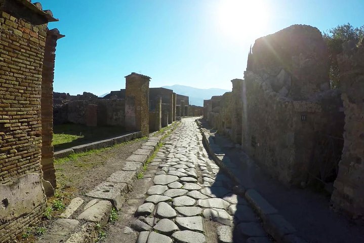 Private Mt Vesuvius and Pompeii with Lunch and Wine Farm Experience  - Image 5