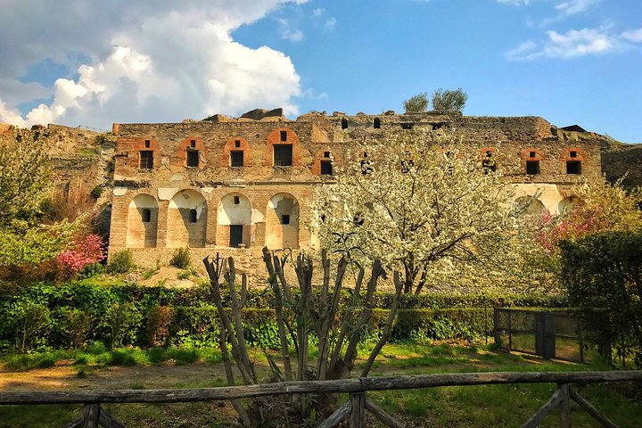 Private Pompeii and Mt. Vesuvius - Image 3
