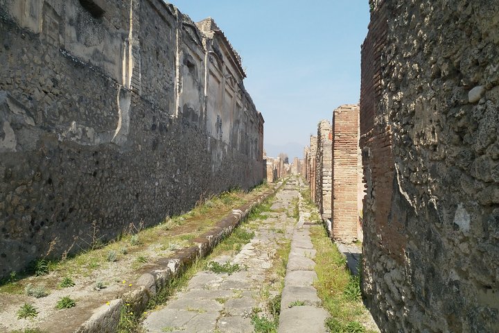 Private Shore Excursion from Naples to Pompeii and Mt Vesuvius for Families - Image 4