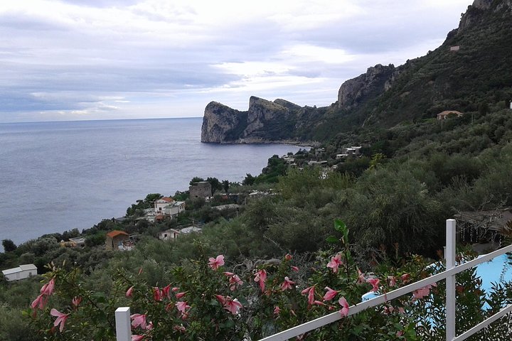 Private Tour Amalfi coast + Pompeii Archaeological Park - Image 2