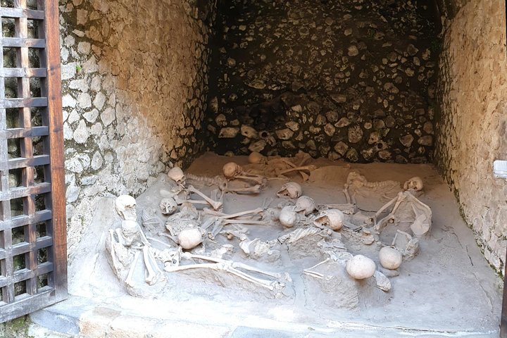 Private Tour: Day Trip Excursion to Mt. Vesuvius, Herculaneum and Pompeii - Image 5