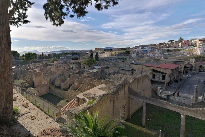 Private Tour: Day Trip Excursion to Mt. Vesuvius, Herculaneum and Pompeii - Image 3