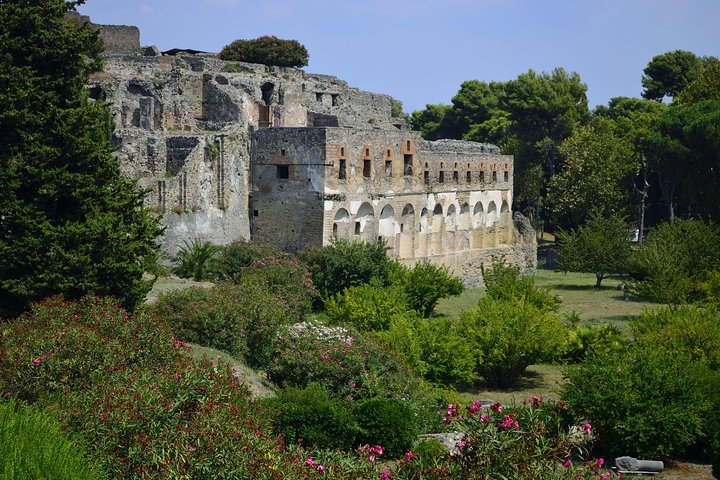 Private Tour: Pompeii Half-Day Trip from Naples - Image 1