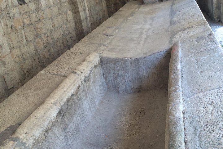 Private Tour Pompeii Herculaneum Vesuvius - Image 3
