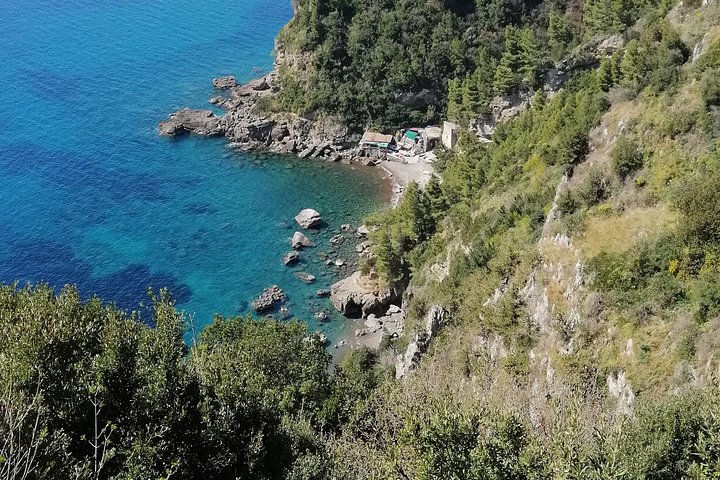 private tour to Pompei Sorrento and Positano - Image 3