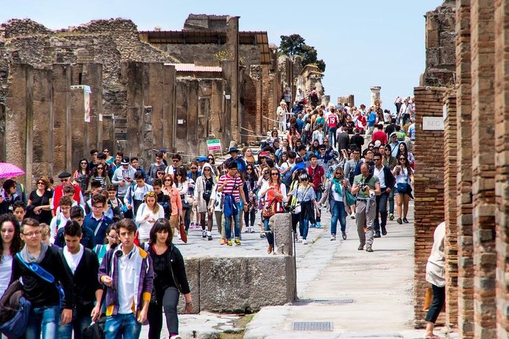 Private tour to Pompeii Herculaneum and Vesuvius - Image 1