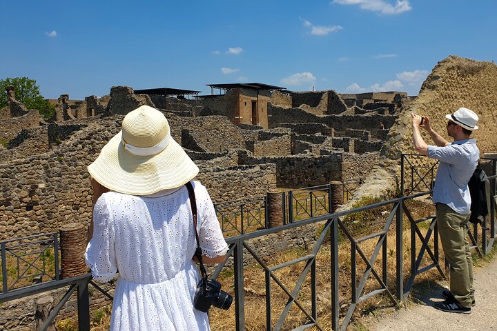 Private Transfer from Naples to Sorrento with Guided tour in Pompeii - Image 2