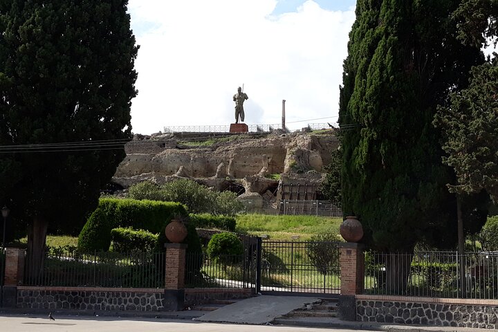 Private Trip to Pompeii with Lunch and Wine Tasting. - Image 5