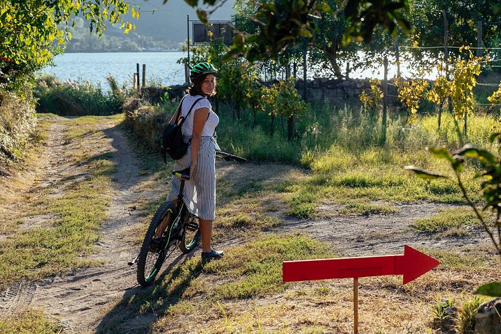 Scenic E-Bike(pedal assisted) Ride with Vineyard Wine & Meal  - Image 3