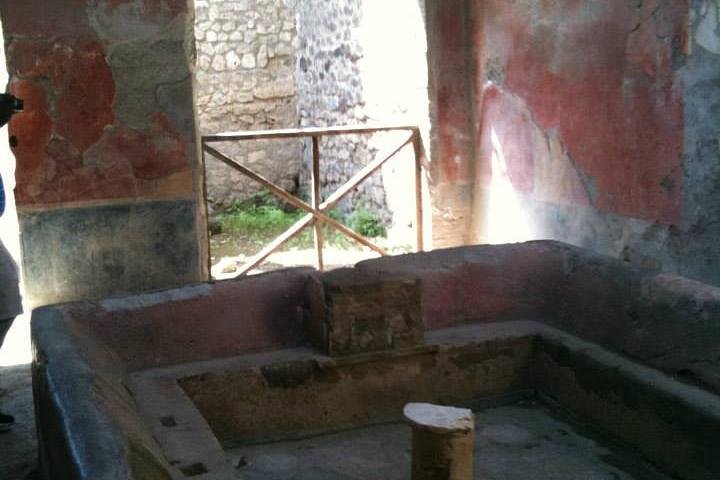 Semi - Private Exclusive Tour of Pompeii ruins & wine tastings from Naples - Image 1
