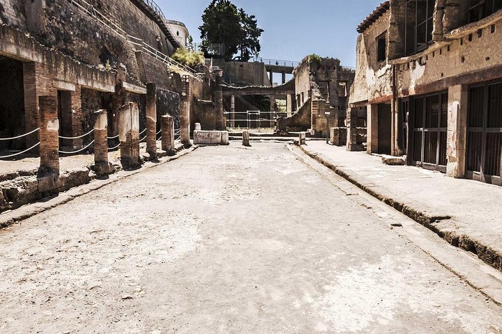 Shore excursion to the excavations of Herculaneum (2 hours) - Image 3